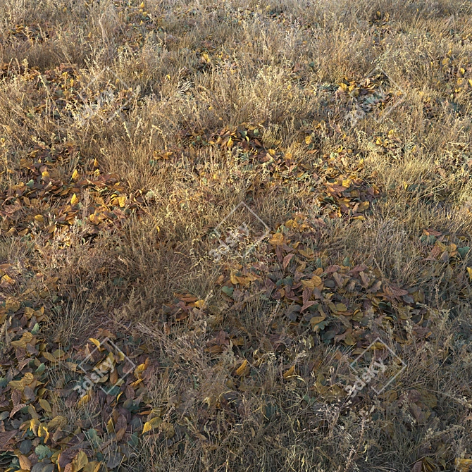 Autumn Fields Dry Grass 3D model image 3