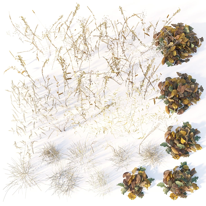 Autumn Fields Dry Grass 3D model image 4