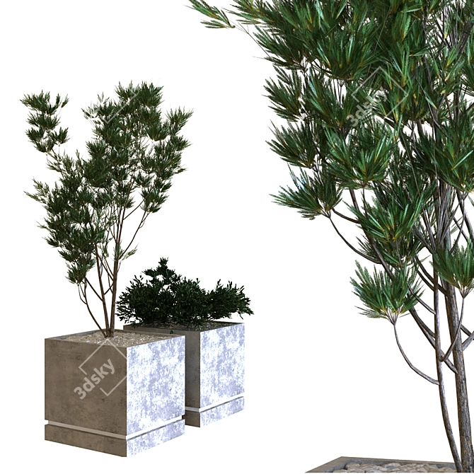  Greenery Delights: Plant Box Set 3D model image 1