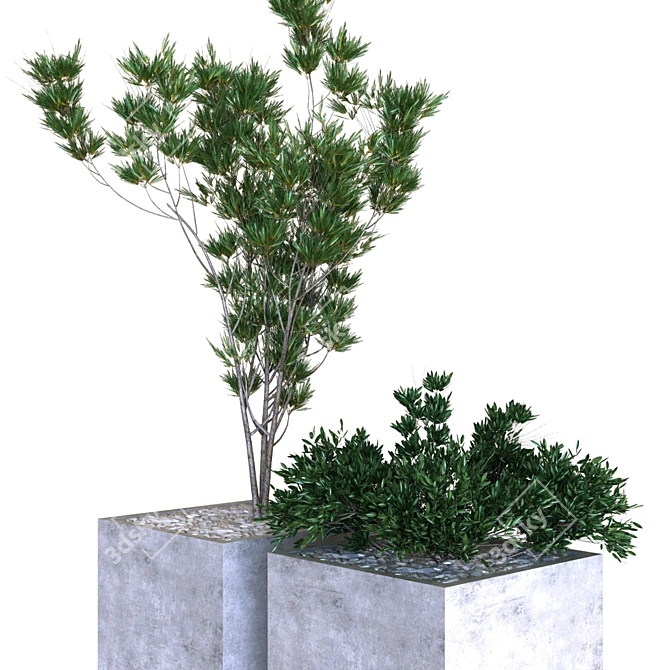  Greenery Delights: Plant Box Set 3D model image 5