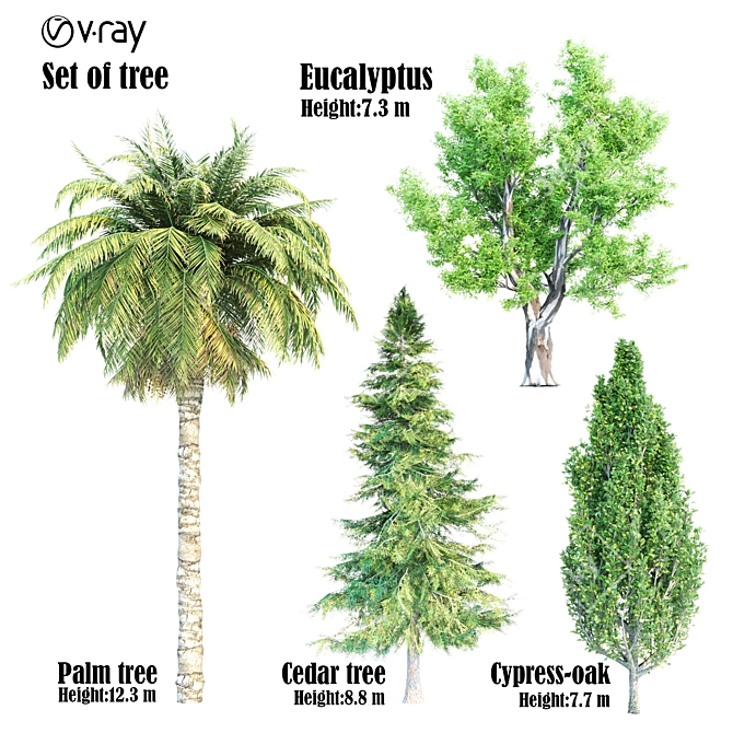 Diverse Set of Beautiful Trees 3D model image 1