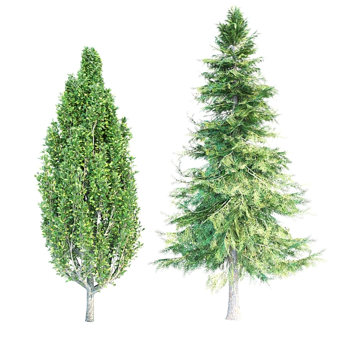 Diverse Set of Beautiful Trees 3D model image 3