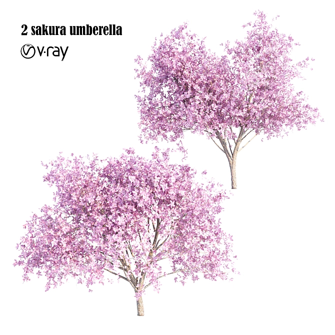 Sakura Umbrella: Elegant and Compact 3D model image 1