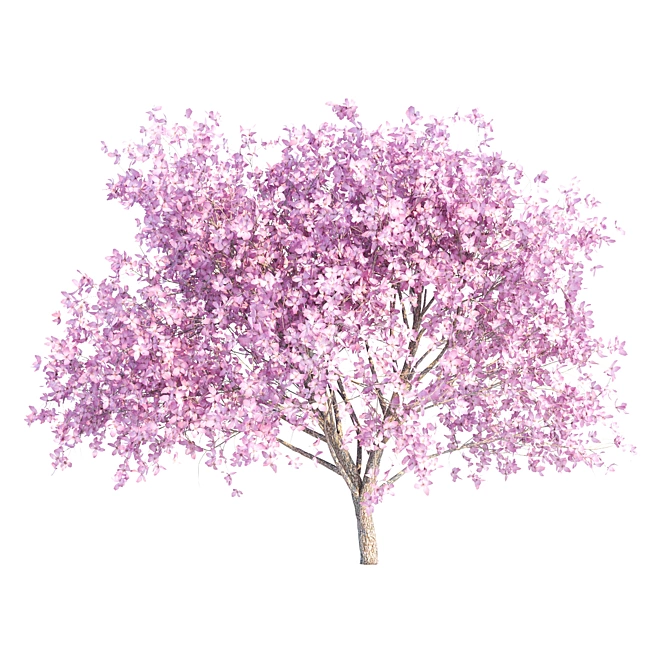 Sakura Umbrella: Elegant and Compact 3D model image 2