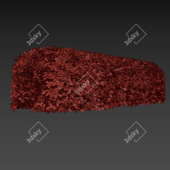 Birch-leaved Hedge Spirea Kit 3D model image 5