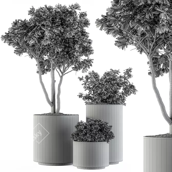 Green Oasis: Outdoor Tree Set 3D model image 4