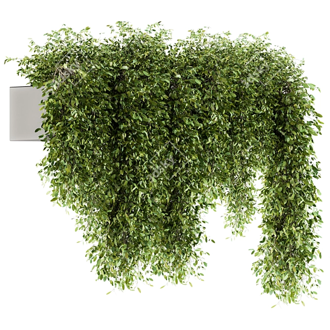 Lush Greens Set - Hanging Plants 3D model image 1