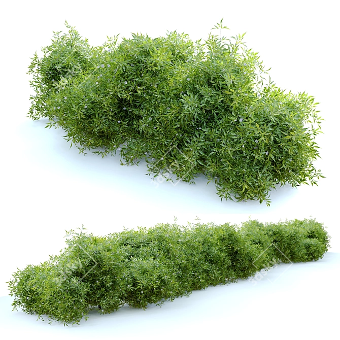 Flourishing Bush - 1.2m Height 3D model image 2