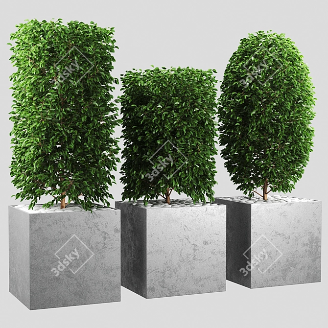 Verdant Vibration 3D model image 1