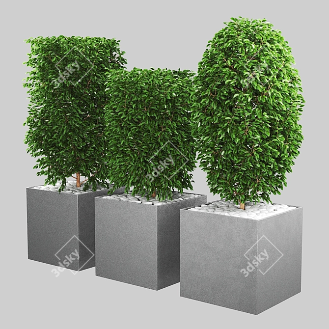 Verdant Vibration 3D model image 3