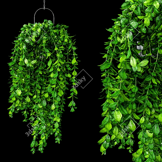 Vibrant Trailing Foliage Set 3D model image 3