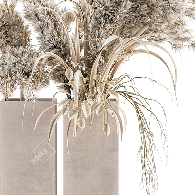 Pristine Pampas Stems - Dried Elegance 3D model image 2