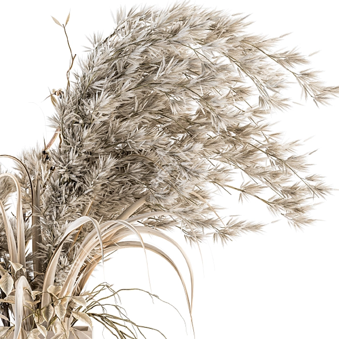 Pristine Pampas Stems - Dried Elegance 3D model image 3