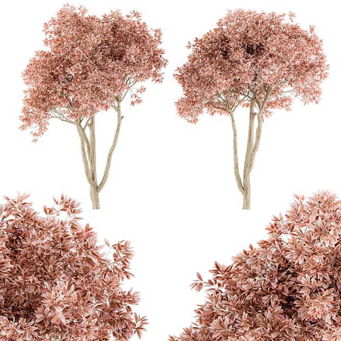 Pretty Pink Ficus Tree - Set 23
(Russian translation: Красивое розовое дерево Ф 3D model image 1