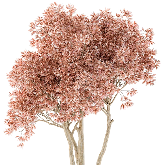 Pretty Pink Ficus Tree - Set 23
(Russian translation: Красивое розовое дерево Ф 3D model image 2