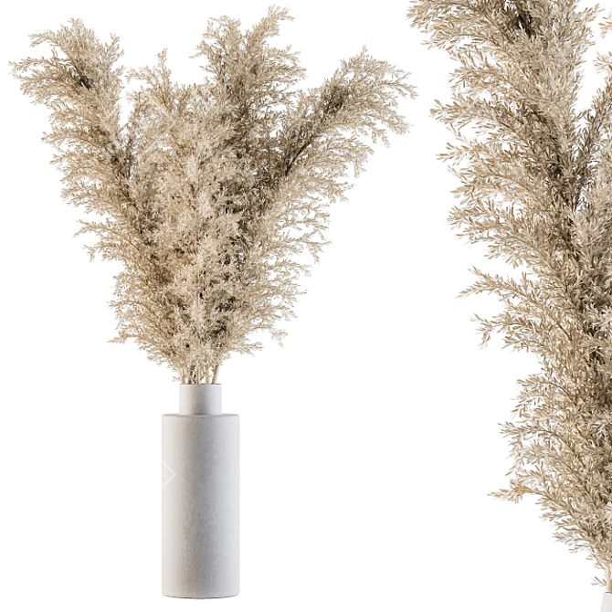 Eternal Beauty Pampas Grass 3D model image 1