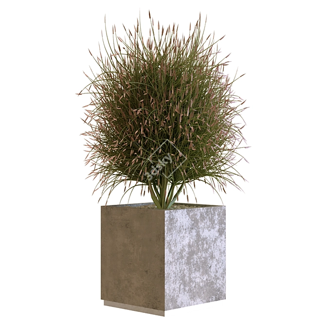 Greenery Box Set: 13 Plants 3D model image 2