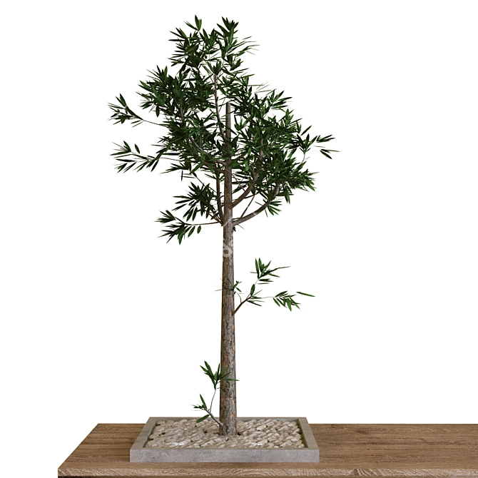 14-Piece Plant Tree Set with Bench 3D model image 3