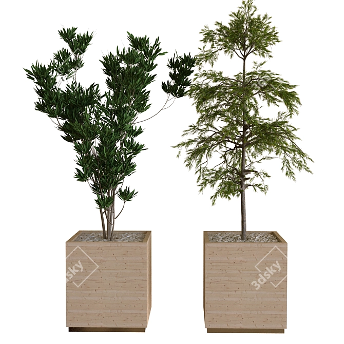 Nature's Delight: Boxed Tree Set 3D model image 1