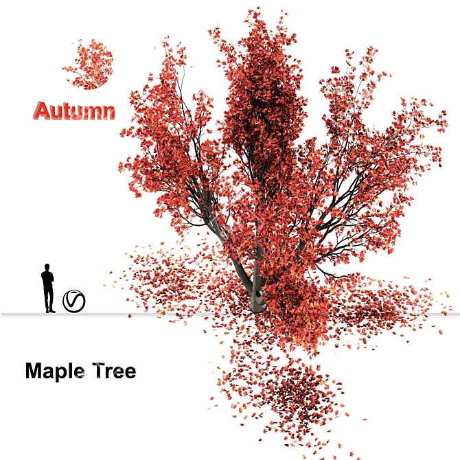 Autumn Winter Maple Tree 3D model image 2