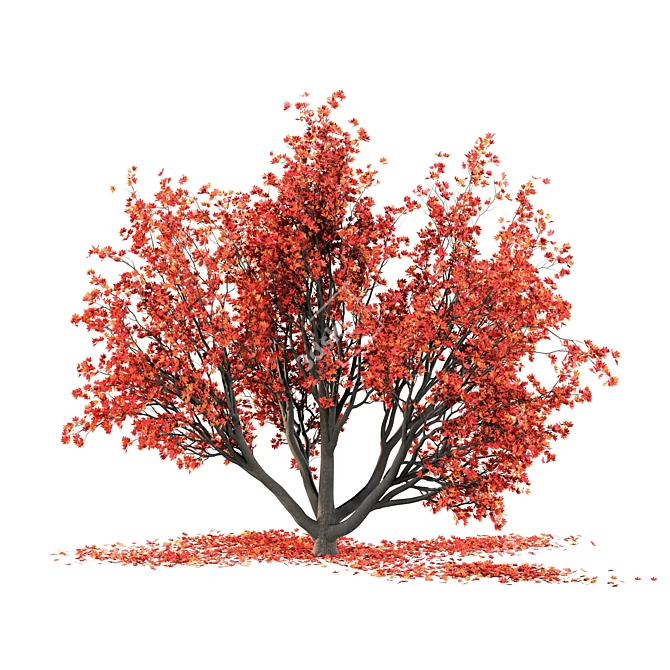 Autumn Winter Maple Tree 3D model image 4