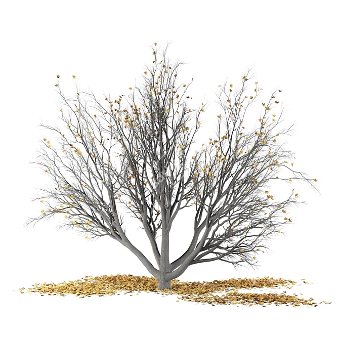 Autumn Winter Maple Tree 3D model image 5