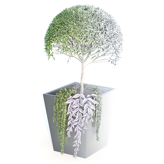 Nature's Oasis: Outdoor Plant 3D model image 4