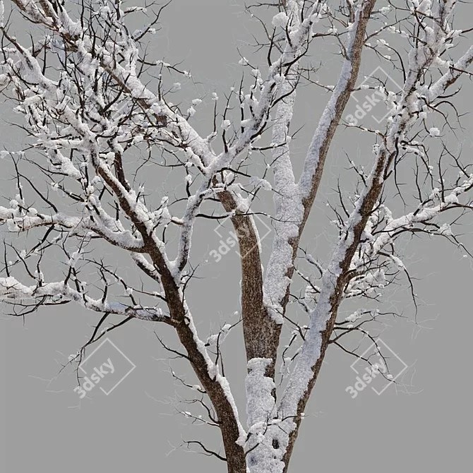 Versatile Dual-Season Tree 3D model image 4