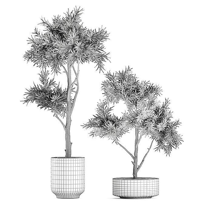 Tropical Plant Collection 3D model image 5