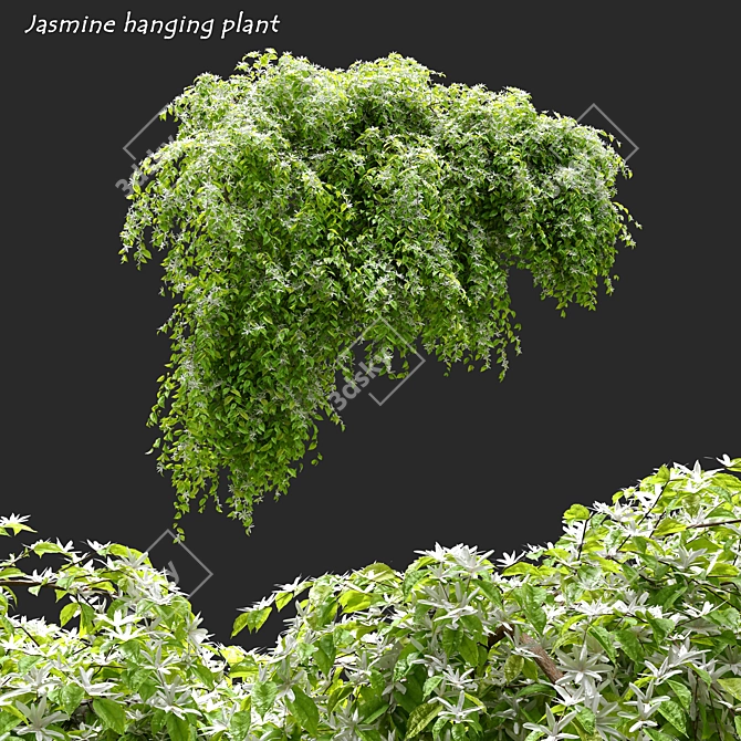 Exquisite Jasmine Hanging Plant 3D model image 1