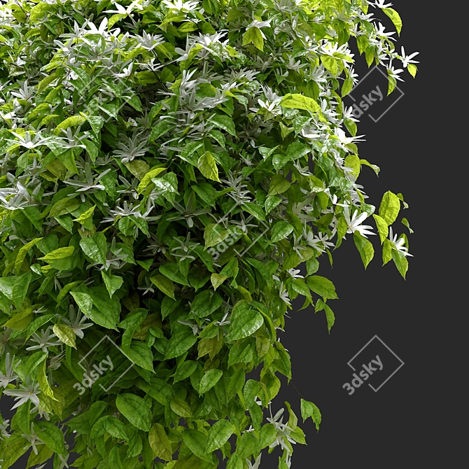 Exquisite Jasmine Hanging Plant 3D model image 2