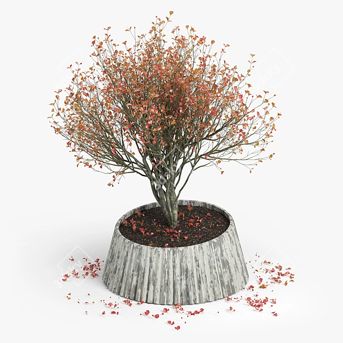 Cozy Autumn 3D Scene 3D model image 2