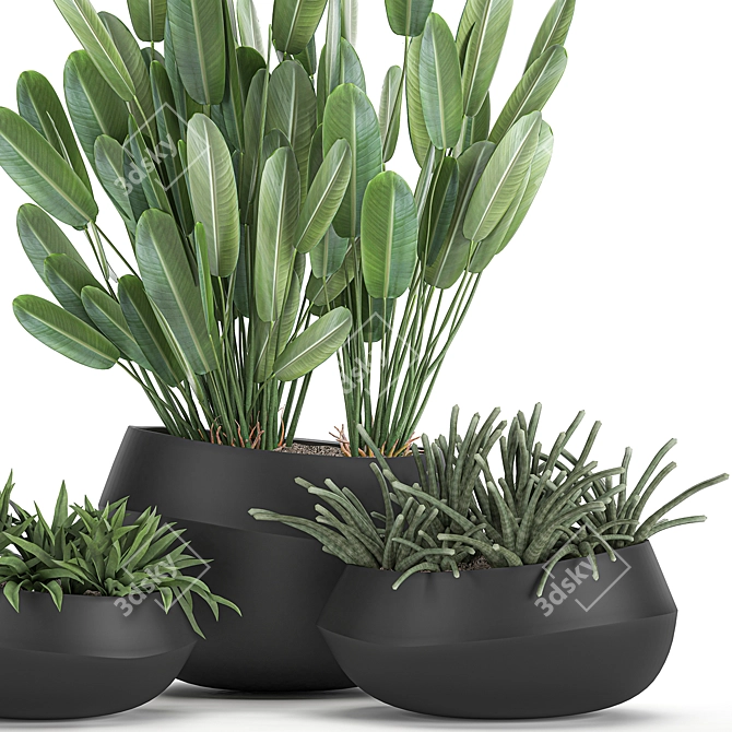 Exotic Plant Collection in Black Vases 3D model image 2