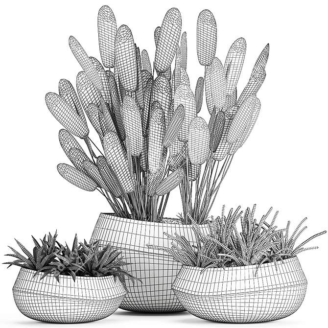 Exotic Plant Collection in Black Vases 3D model image 5