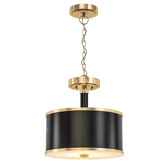 Elegant Convertible Pendant Light 3D model image 1