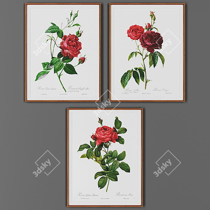 Wooden Picture Frame Set - Collection of 3 3D model image 1