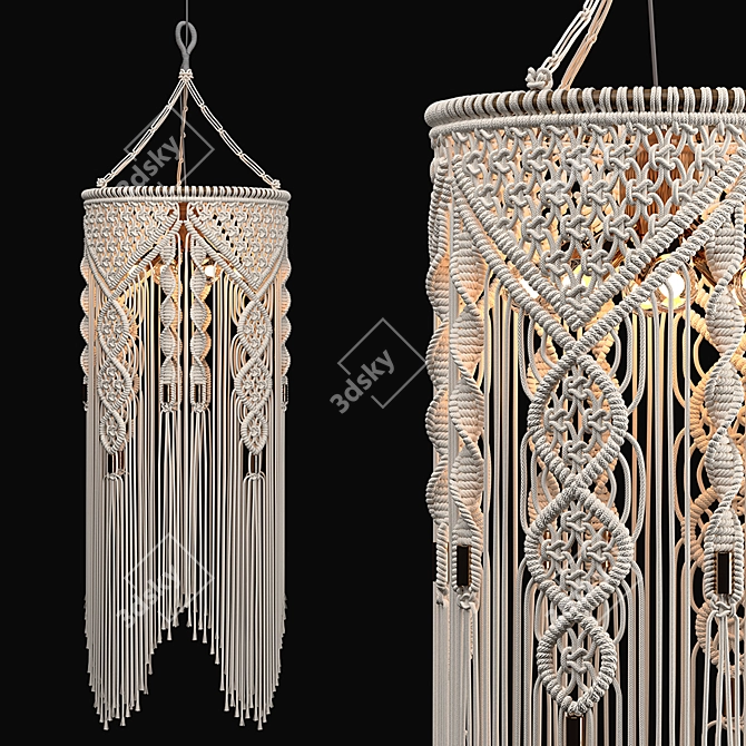 Boho Macrame Pendant Light 3D model image 1