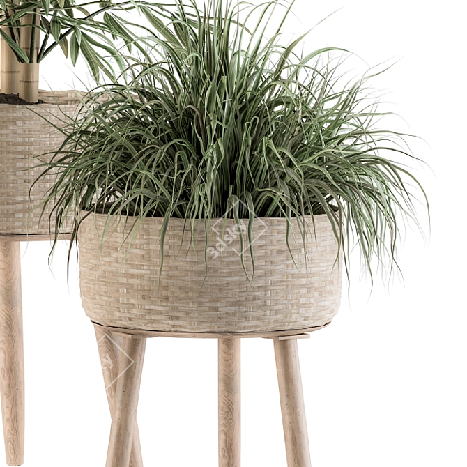 Tropical Oasis: Palm in Mat Pot 3D model image 4