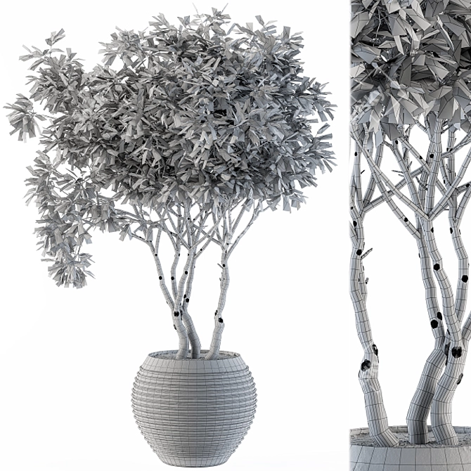 Lush Green Indoor Plant Set 3D model image 5