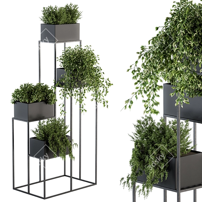Elegant Indoor Plant Set 3D model image 1