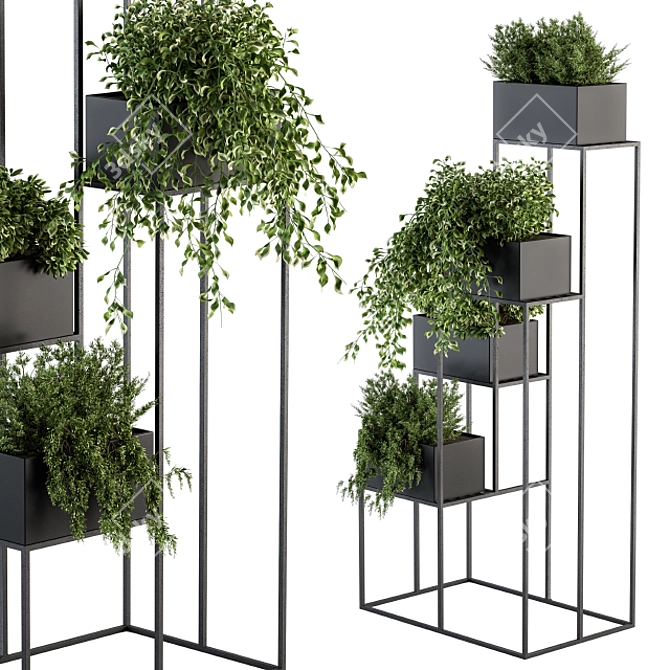 Elegant Indoor Plant Set 3D model image 2