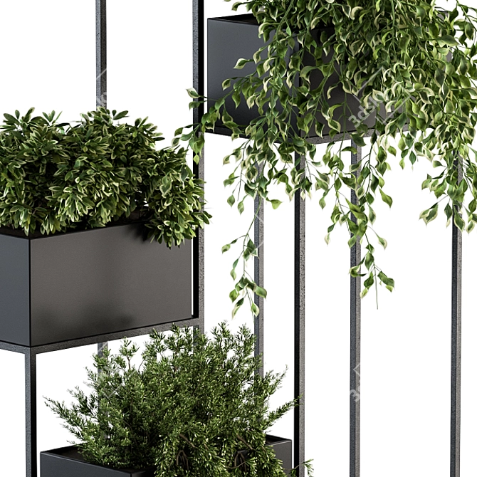 Elegant Indoor Plant Set 3D model image 3