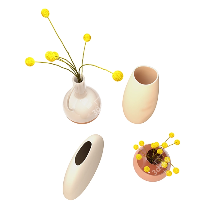 Stylish Vase Collection with Craspedia 3D model image 3