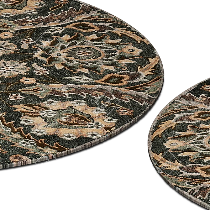 Circular Interior Rugs 3D model image 2