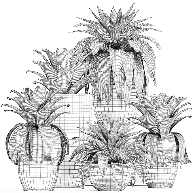 Exotic Plant Collection in Black Pots 3D model image 5