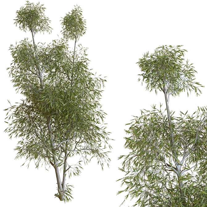 22-Piece Tree Set 3D model image 1