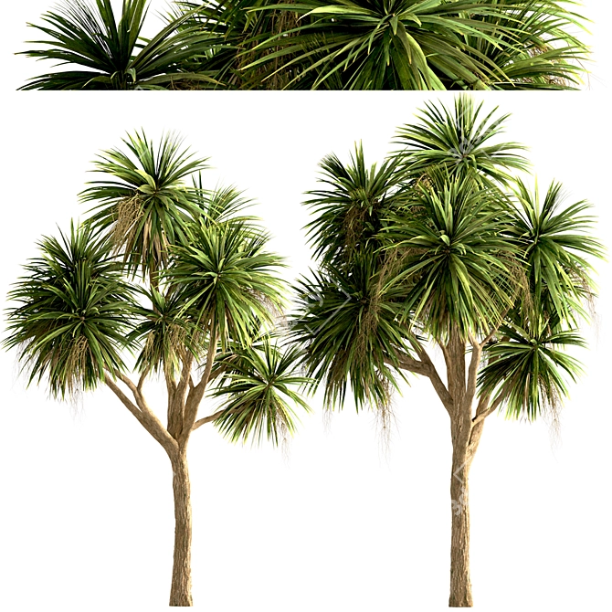 Lush New Zealand Cabbage Tree Trio 3D model image 2