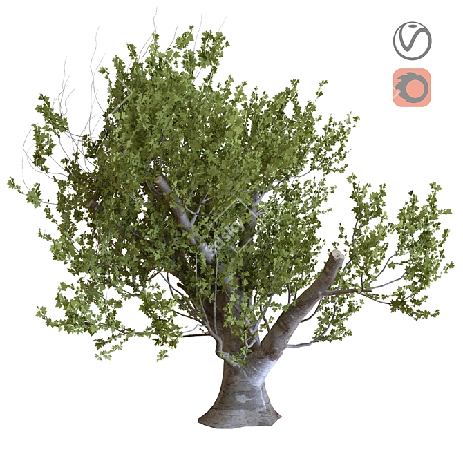 23-Piece Tree Set 3D model image 1