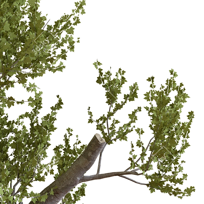23-Piece Tree Set 3D model image 3