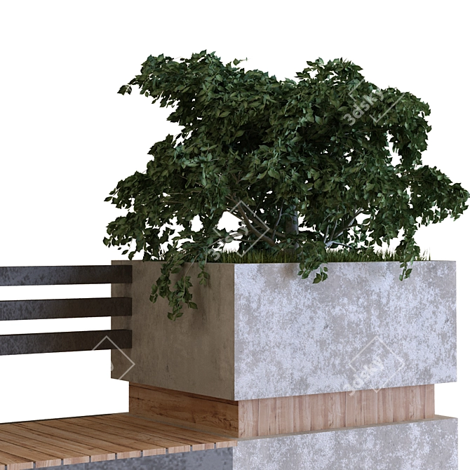 Nature's Oasis: Plants Tree Set 3D model image 3